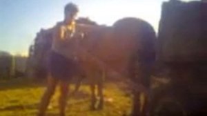 укол лошади часть 2...