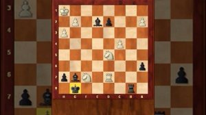 Der richtige Zug. Das Spiel nach dem Damentausch. Königsindische Verteidigung. Seirawan-Variante