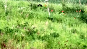 Генерал Рыбалки на реке катанга