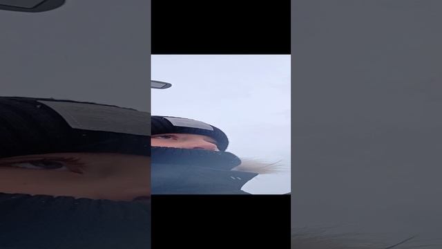 VID20231121153750.mp4