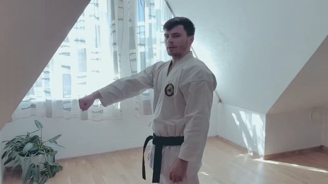 Каратэ для начинающих. Тренировки дома. Блок учи-уке.(Uchi-uke)