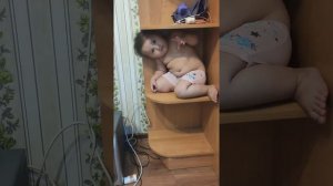 1,5 года . Залезла на шкаф и не может слезть.