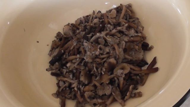 Заготовка опят на зиму.Готовим вкусняшки из опят