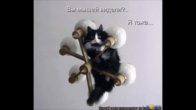 ПРИКОЛЫ В КАРТИНКАХ.... смотреть онлайн