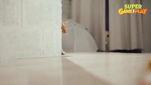 Red Ball 4 In Real Life | Red Ball In The House With Cat