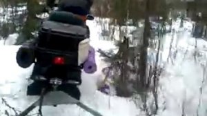 Hauling firewood | Polaris Widetrak 500 (488)