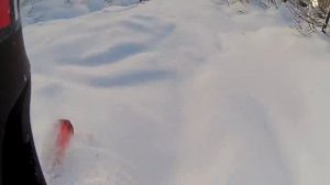Ivan Malakhov - freeride in Courmayeur