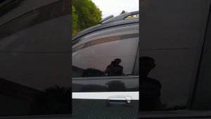 Электротонировка на Тойота Калдина.