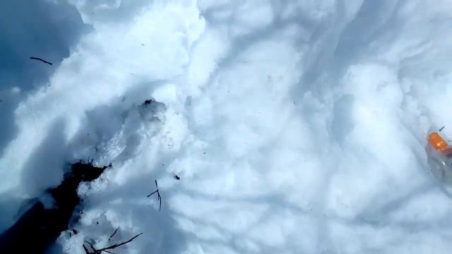 Первый день охоты на гуся Весна 2019 г смотреть онлайн