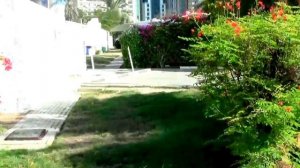 15) ОАЭ. Шарджа. Отель Marbella Resort 4*. Территория. Ноябрь, 2017гю
