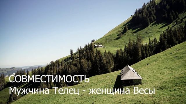 Совместимость мужчины Тельца и женщины Весы