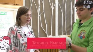 Китайская шелковая курица на ilikepet