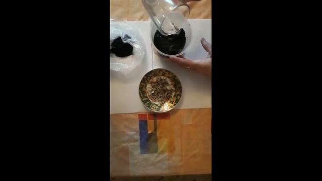 Занятие по посадке цветов бархатцев от воспитателя группы №10 "Василёк" Вощинской Елены Борисовны смотреть онлайн