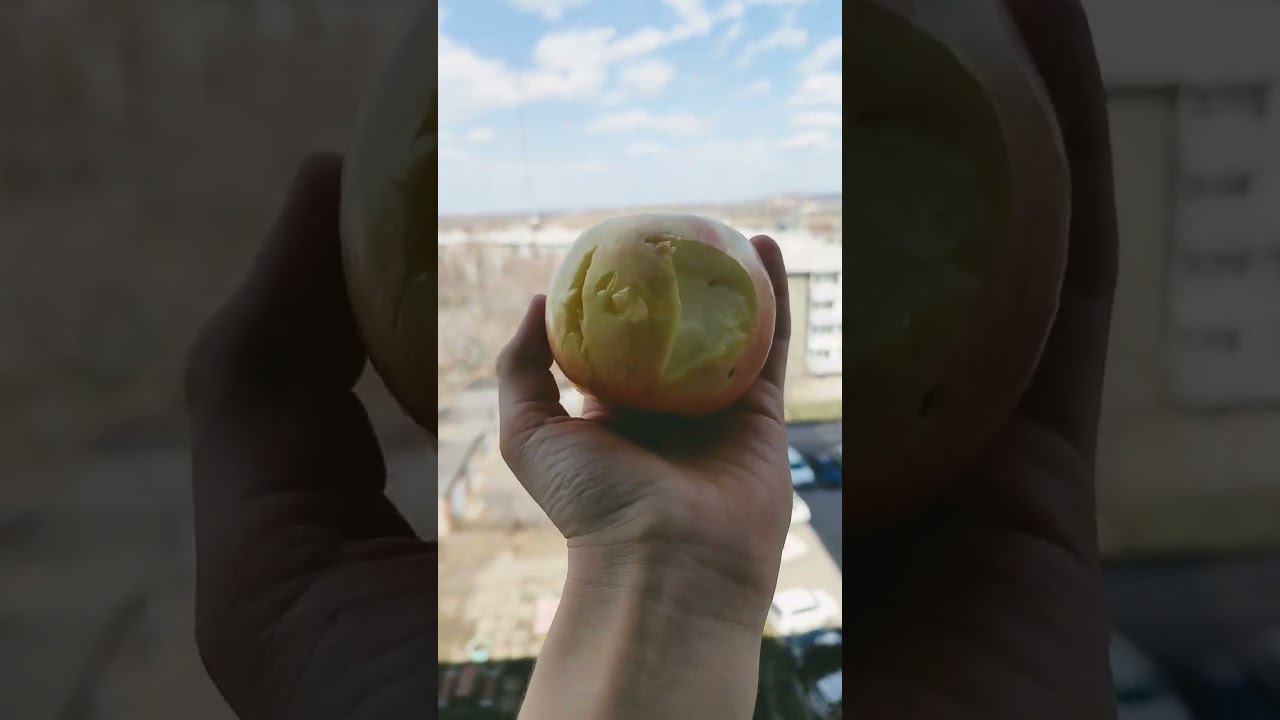 ПОВ: Хейтеры Хрен ТВ в 2003 году смотреть онлайн