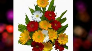 Order Online Flowers In Pune by Winni