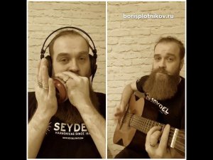 Подмосковные вечера harmonica cover by Boris Plotnikov