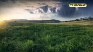 Стихи о смерти (ТВ НАСИХАТ)