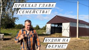 Накрутили более 1000 рулонов сенажа. Полевые работы и благоустройство фермы.