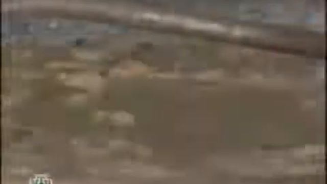 Тюремные наколки Значение тюремных татуировок смотреть онлайн