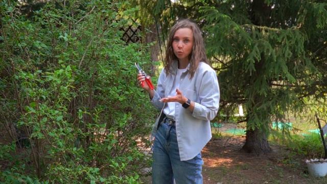 Мастер-класс: обрезка кустарников смотреть онлайн