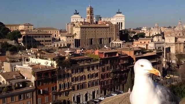 Рим. Вид с Палатинского холма. смотреть онлайн