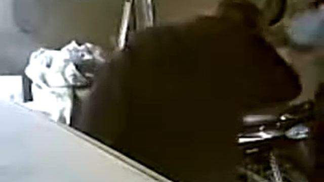 ну ооочень смешное видео!!! смотреть онлайн