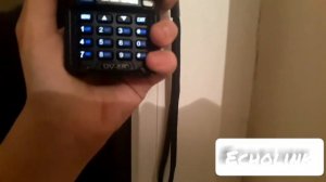 что такое echolink