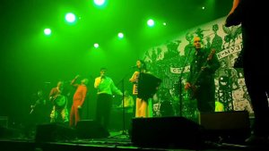 НОМ - Насекомые