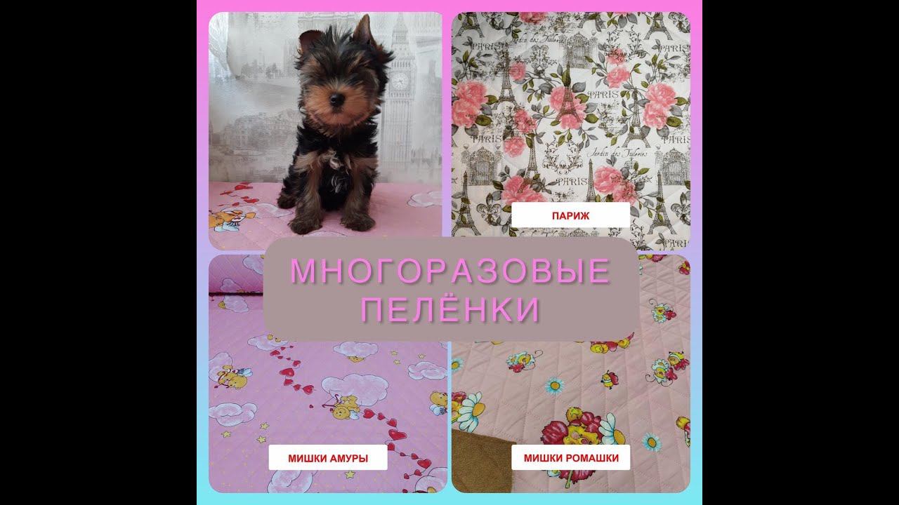 ПРЕДЛАГАЮ МНОГОРАЗОВЫЕ ПЕЛЁНКИ ДЛЯ ПИТОМЦЕВ Действительно быстро впитывают удерживают влагу и запах!