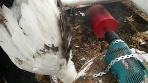 Перощипательная насадка. Честный обзор