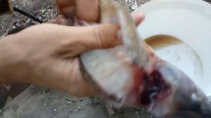 Как разделать окуня на филе. Легкий способ разделать окуня..