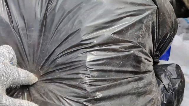 Нашёл100 $ в мусорнике.Что можно найти в помойках Крыма.Мусорники Крыма.Находки из помойки крыма