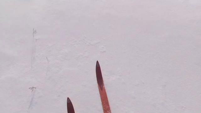 Жизнь в деревне/Напекла пирогов.Катаюсь на лыжах.Сама себе хозяйка. смотреть онлайн