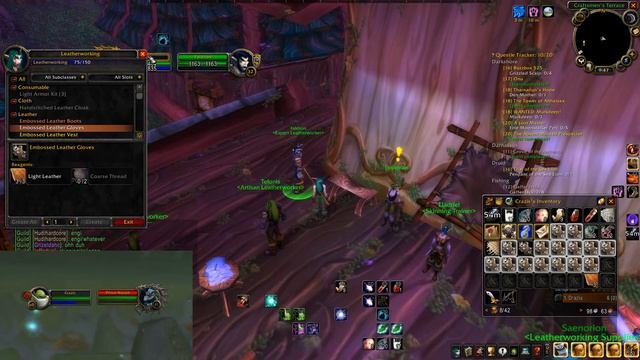 SoM classic WoW hardcore - NE DRUID - p5 Darkshore still