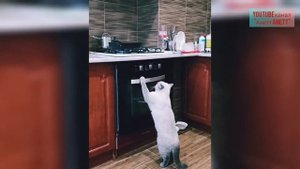 Самые тонкие и вкусные блины