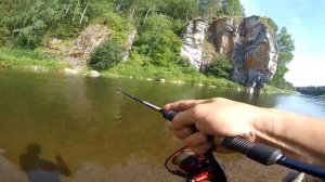 Бешеные Голавли клюют на этого жука.