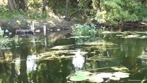 Прогулка по реке Сейм  Затон  Курск Продолжение