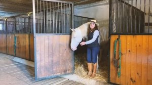 Meet Lusitano horses at this stud farm in Alentejo, Portugal