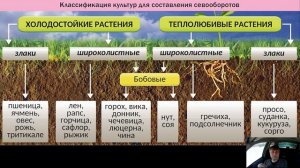 Принципы построения севооборота полевых культур