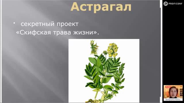 АСТРАГАЛ перепончатый компании Эрсаг! Врач Наталя Болухата! смотреть онлайн
