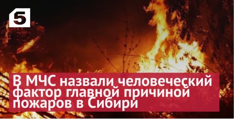 Поймали по горящим следам: кто виноват в смертельных сибирских пожарах