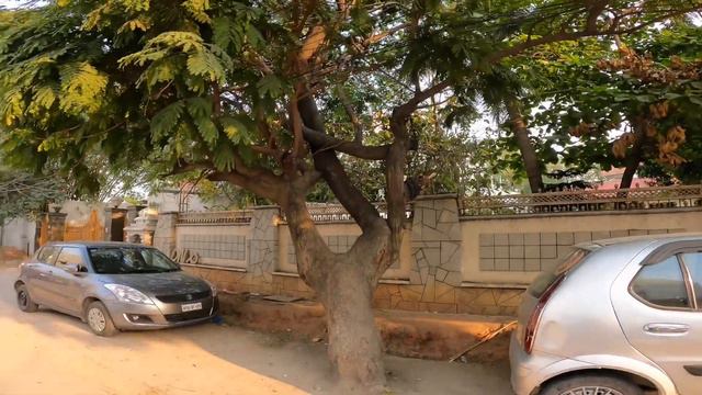 Way to Dasari Narayana Rao gari home | Telugu Director | Telugu Celebrity House