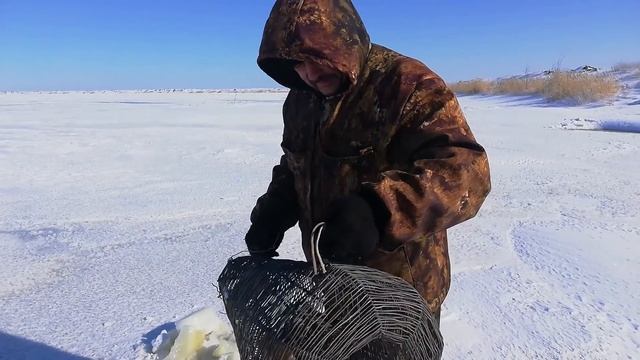 СТАВИМ МОРДЫ НА КАРАСЯ И ЗАГОТАВЛИВАЕМ ЖИВЦА ДЛЯ БУДУЩИХ РЫБАЛОК! РЫБАЛКА В КАЗАХСТАНЕ! смотреть онлайн