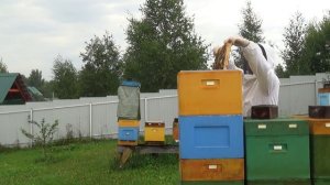 Итоги двухматочного содеражния пчел в десятирамочнике