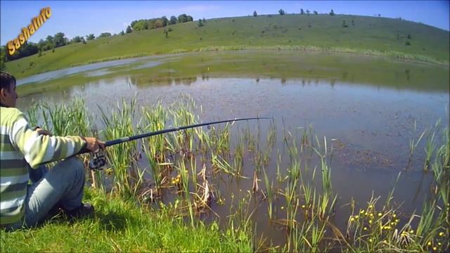 Ловля карася на червя Catching crucian on the worm смотреть онлайн