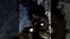 Это любовь такая головоломка
