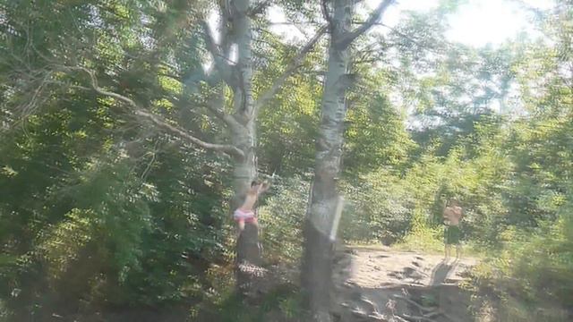 Иловля тарзанка смотреть онлайн