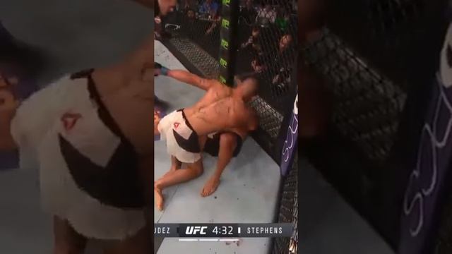 Jeremy Stephens ko Dennis Bermudez by flying knee.