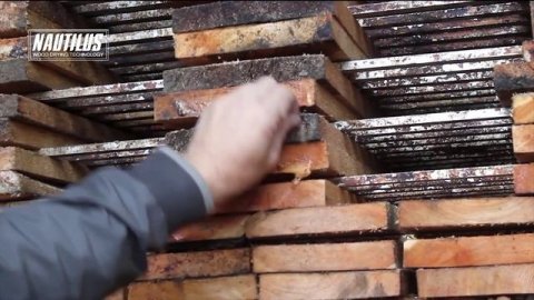 Вакуумная сушильная камера для древесины. Сушка доски за 48 часов!