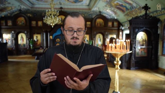 Притча про суботні колоски або Дух закону Божого - Євангеліє щодня